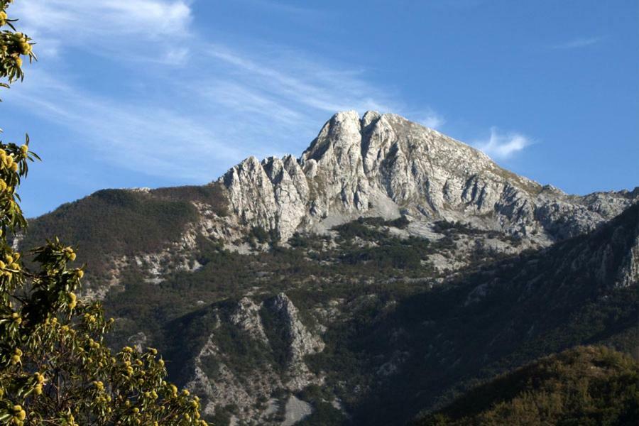 Borgo Delle Panie Bed & Breakfast Careggine Dış mekan fotoğraf