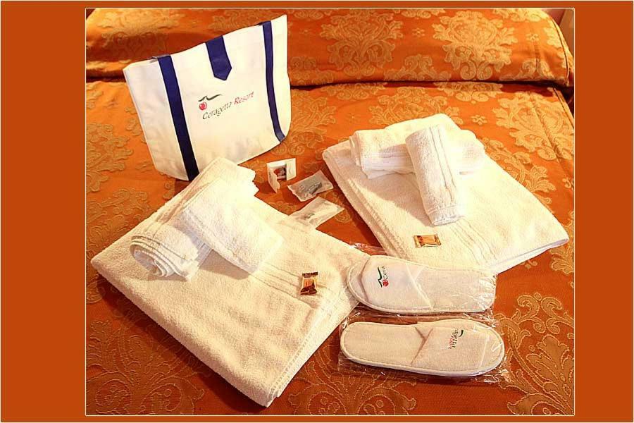 Borgo Delle Panie Bed & Breakfast Careggine Dış mekan fotoğraf
