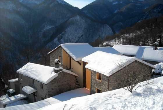 Borgo Delle Panie Bed & Breakfast Careggine Dış mekan fotoğraf