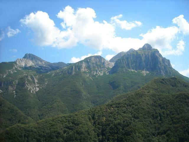 Borgo Delle Panie Bed & Breakfast Careggine Dış mekan fotoğraf