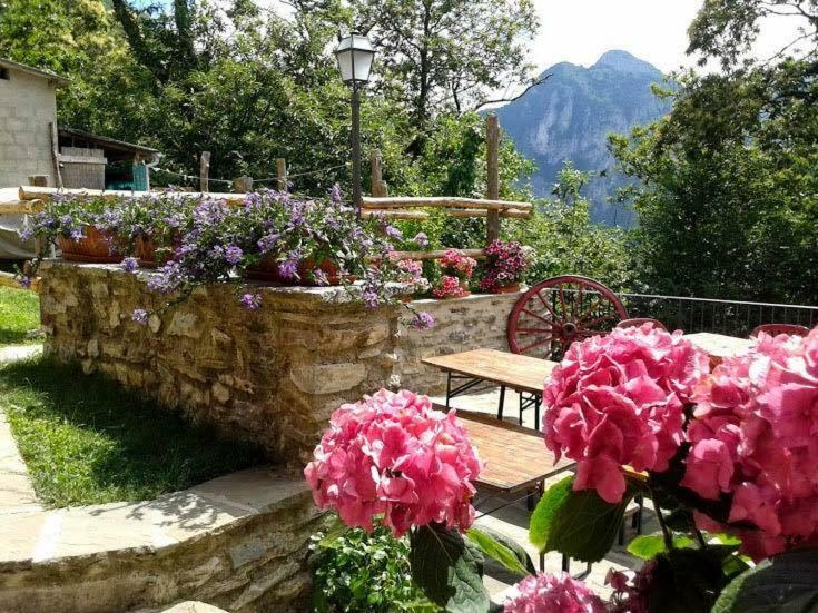 Borgo Delle Panie Bed & Breakfast Careggine Dış mekan fotoğraf