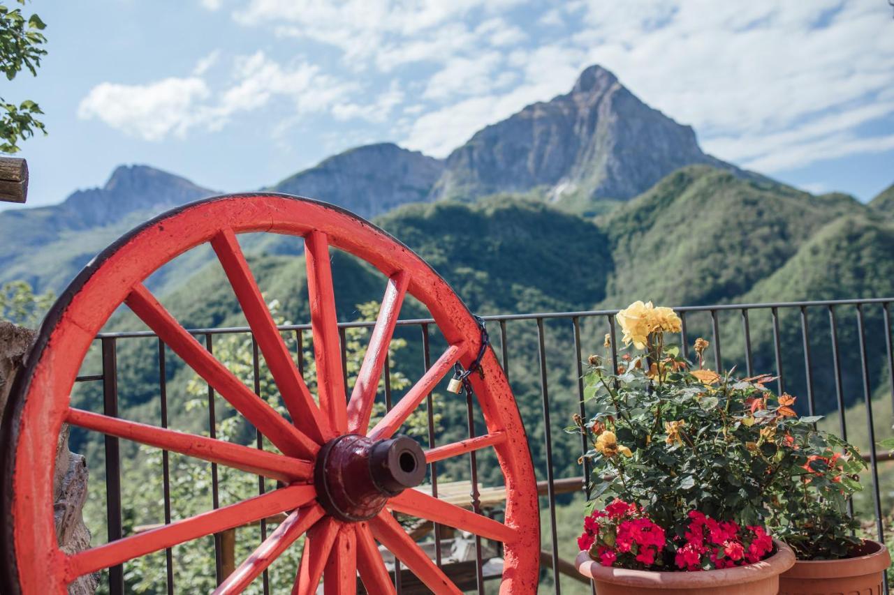 Borgo Delle Panie Bed & Breakfast Careggine Dış mekan fotoğraf
